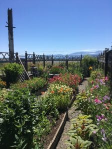 Liz Stubbs Cutting Garden at Filberg Park