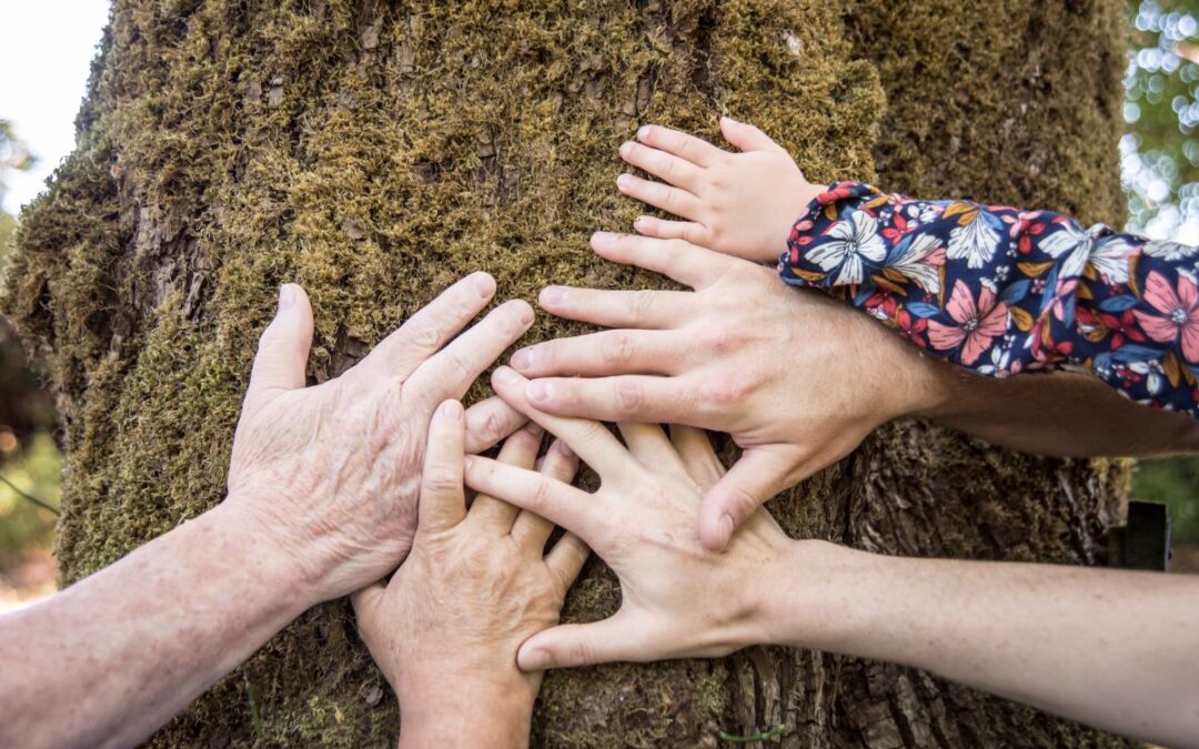 multi generational hands on a trees bark